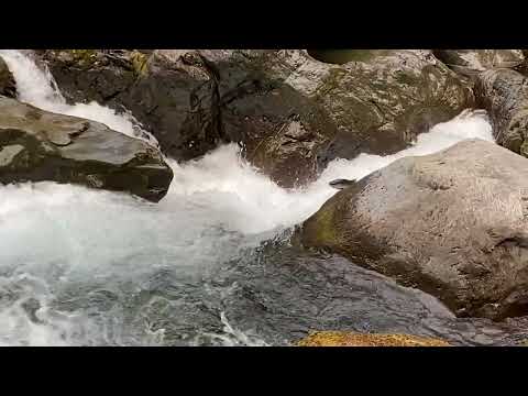 lyteCache.php?origThumbUrl=https%3A%2F%2Fi.ytimg.com%2Fvi%2FWsPiM1 gErU%2F0
