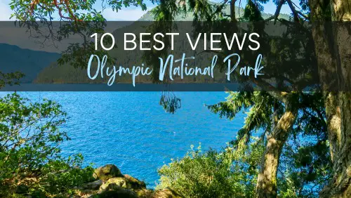 View of blue lakes surrounded by trees and mountains, with the text, 10 Best Views in Olympic National Park.