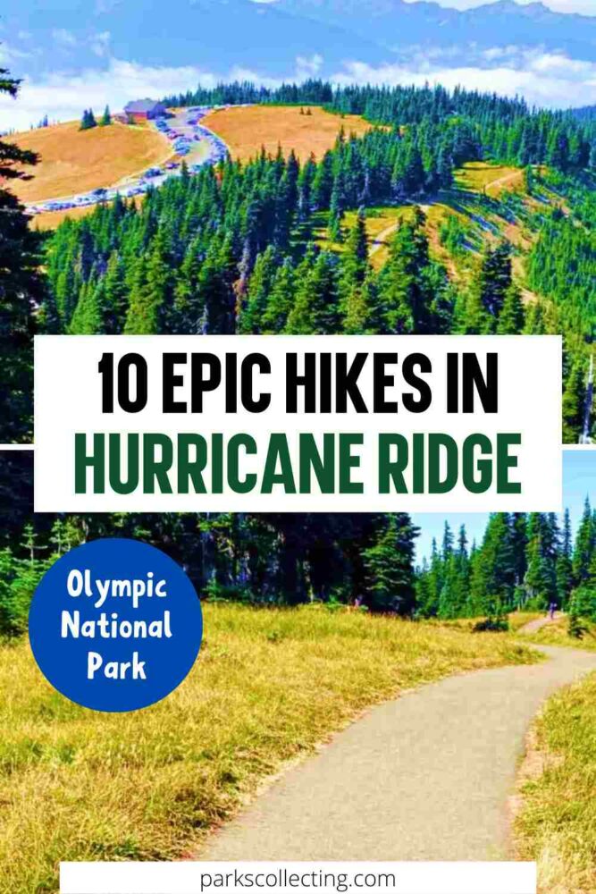 Two photos: above is a photo of Mountains, car parked in a bent road surrounded by trees and below is a photo of a small road surrounded by trees and grasses with the texts that says 10 epic hikes in Hurricane Ridge