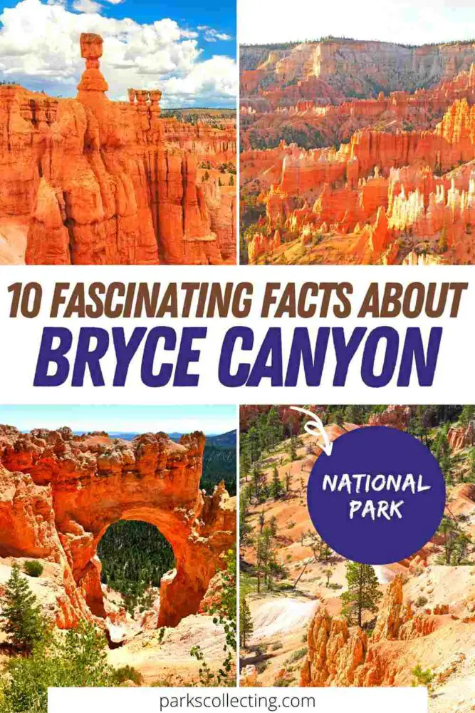 10 Fascinating Facts About Bryce Canyon National Park Pin