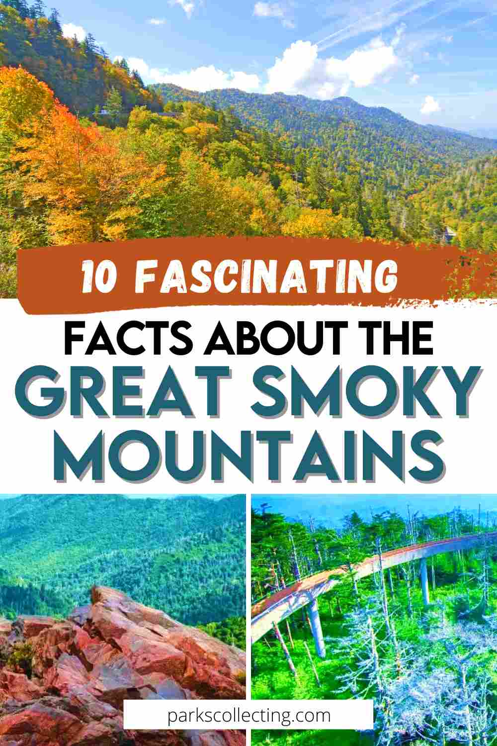 10 Fun Facts About Great Smoky Mountains National Park