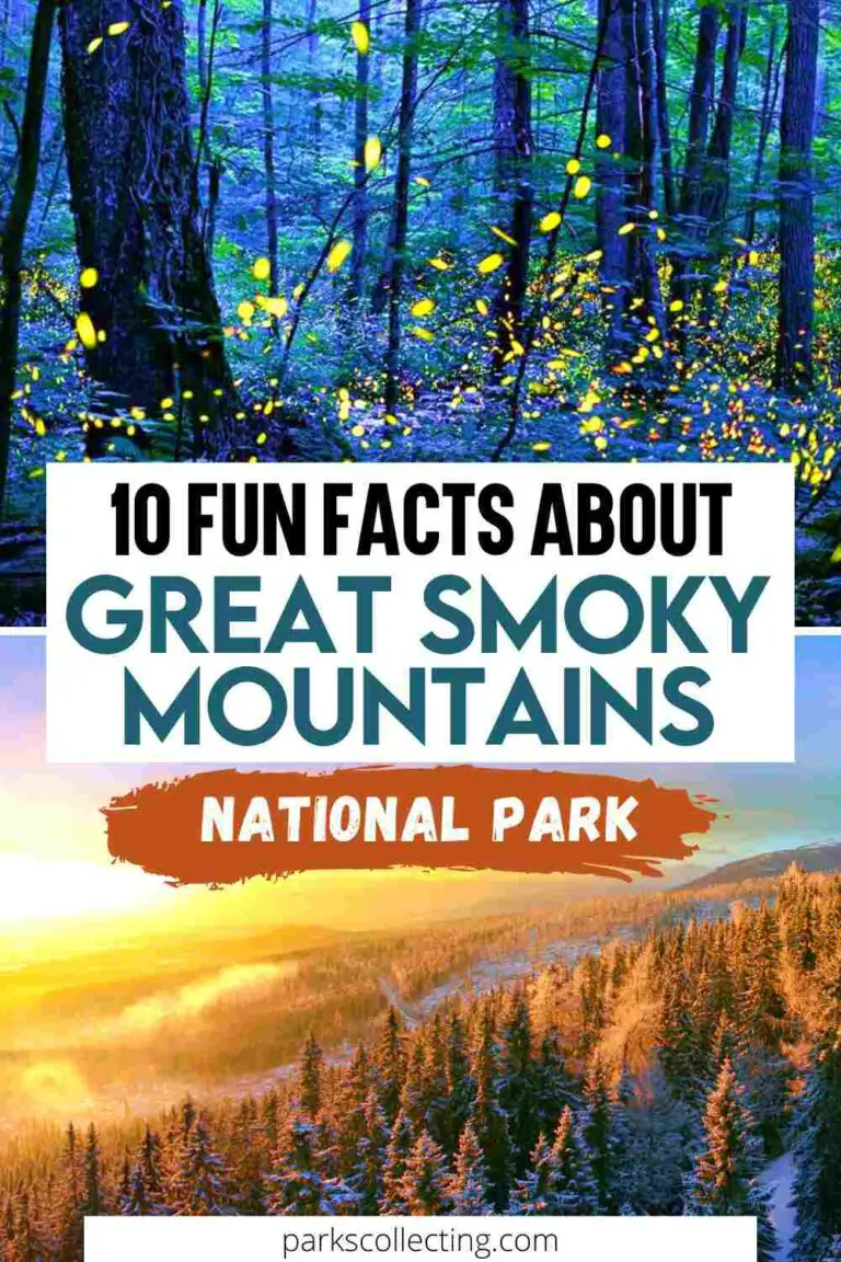 10 Fun Facts About Great Smoky Mountains National Park