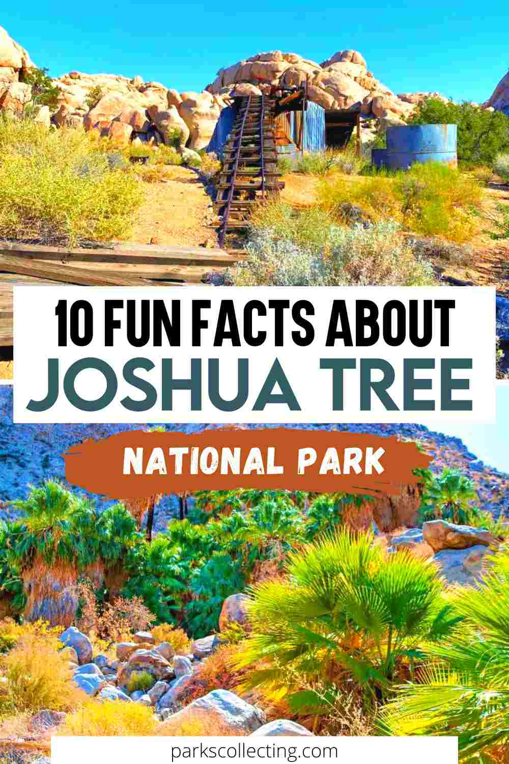 10 Fun Facts About Joshua Tree National Park 2024 1953