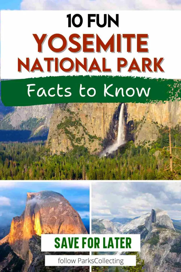 10 Fun Facts About Yosemite National Park 2025