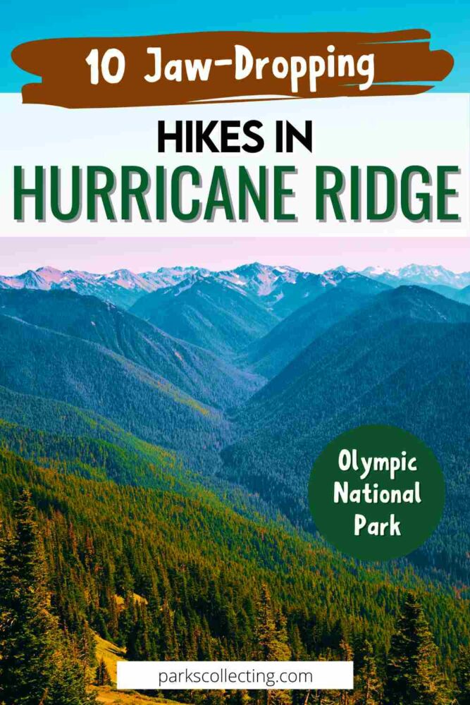 A photo of a mountains surrounded by trees with the text above that says 10 Jaw-dropping Hikes in Hurricane Ridge