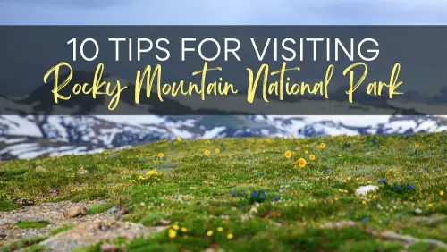 View of wildflowers and in the background are mountains covered with snow, with the text, "10 Tips For Visiting Rocky Mountains National Park."