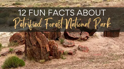 12 Fun Facts About Petrified Forest National Park Header
