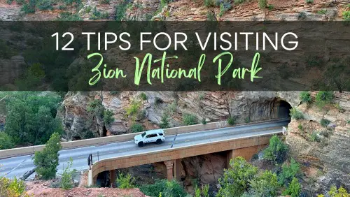 Aerial view of a road and a tunnel surrounded by trees and mountains with the text, "12 Tips For Visiting Zion National Park."