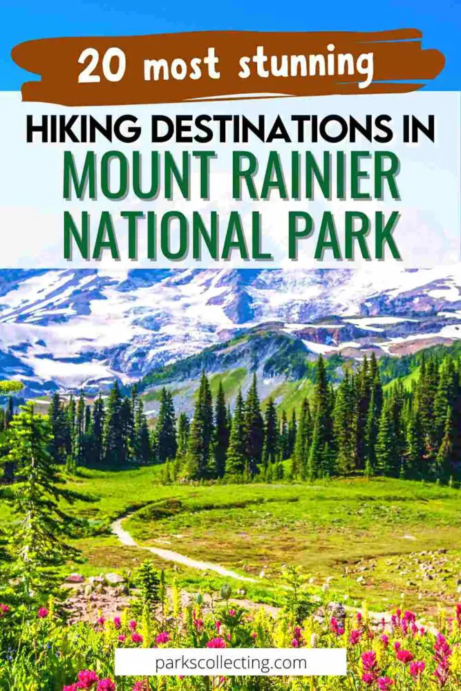 Trees, grasses, and flowers below the snow-capped mountain with the texts that say 20 most stunning HIKING DESTINATIONS IN MOUNT RAINIER NATIONAL PARK