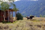 2-bedroom-cabin-in-the-middle-of-Grand-Teton-National-Park