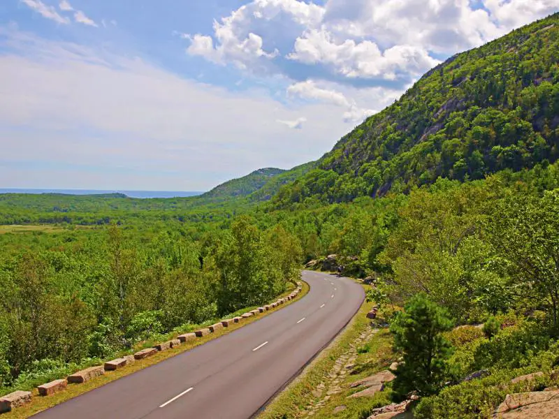 Bended road surrounded by trees in Acadia National Park