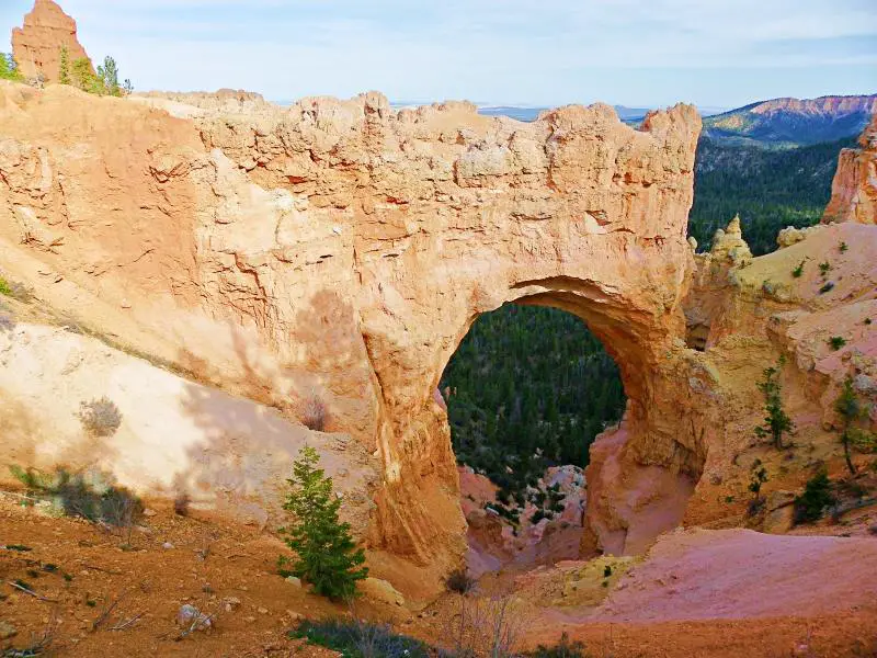 Natural Bridge and behind are trees mountain in Bryce Canyon National Park