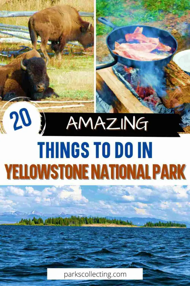 Amazing Things To Do in Yellowstone National Park