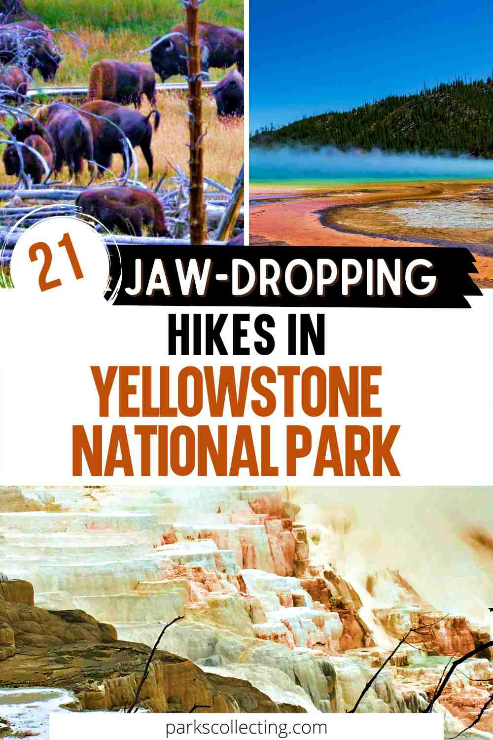 21 Best Hikes In Yellowstone National Park