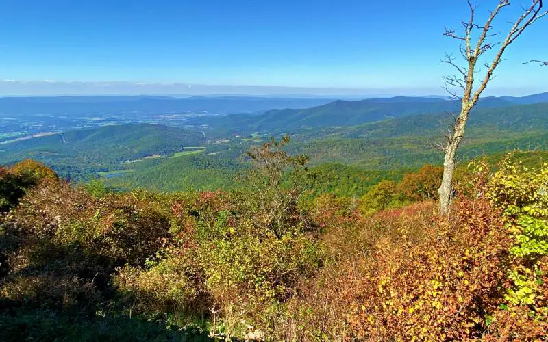 Jewell Hollow Overlook, Shenandoah National Park