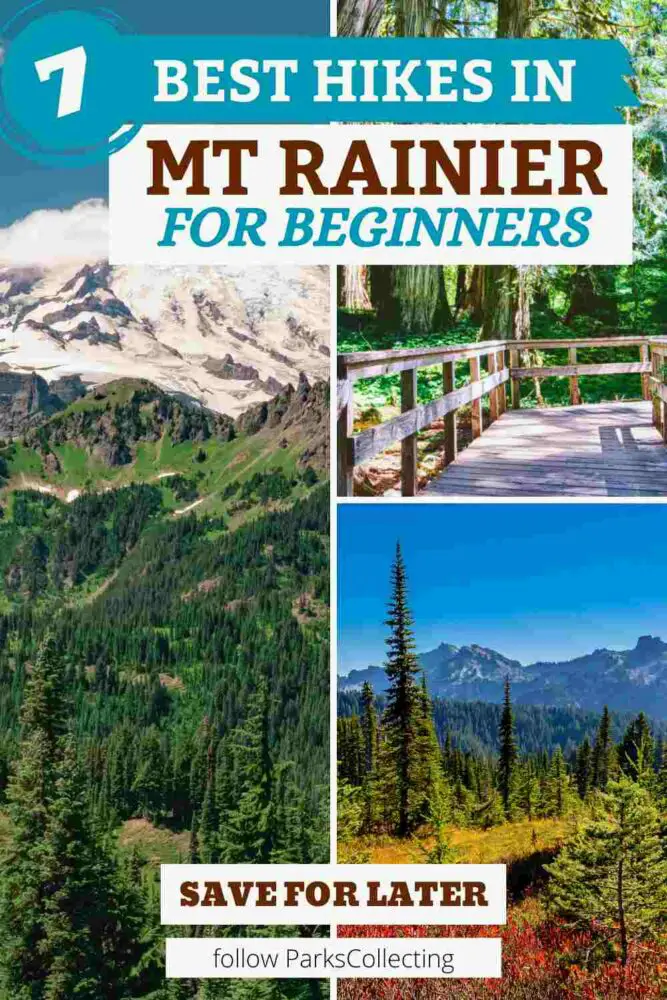 7 Must-Do Easy Hikes in Mount Rainier National Park 7 Best Hikes in Mount Rainier National Park for Beginners