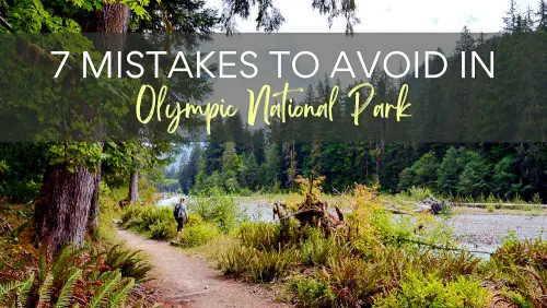 View of a man hiking on the trail beside the river surrounded by trees, with the text, 7 Mistakes To Avoid in Olympic National Park.