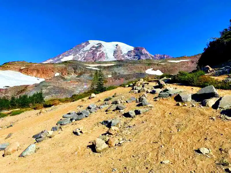 A snow-capped mountain and below are small trees and rocks in Skyline Trail Mt Rainier National.