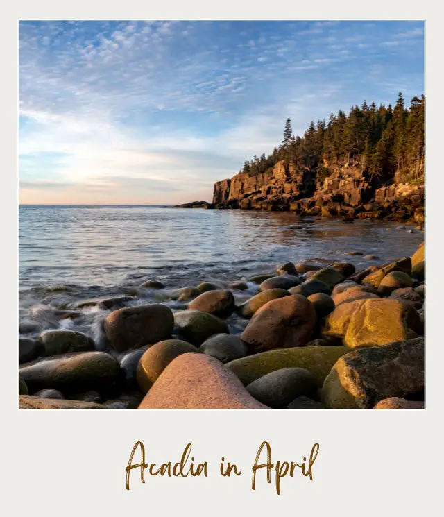 View of oceans, rocks, and mountains with trees in Acadia National Park.