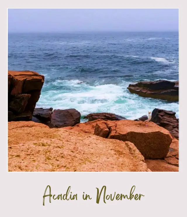 View of rocks and ocean in Acadia National Park.