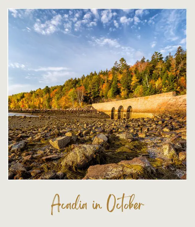 View of rocks, old tunnel and colorful trees beside the ocean in Acadia National Park.