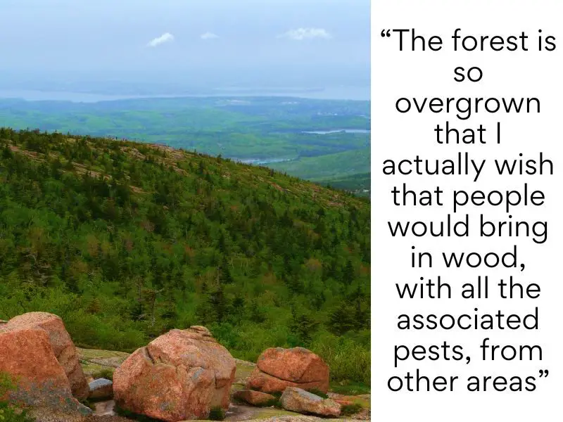 Acadia National Park bad reviews - The forest is so overgrown that I actually wish that people would bring in wood, with all the associated pests, from other areas