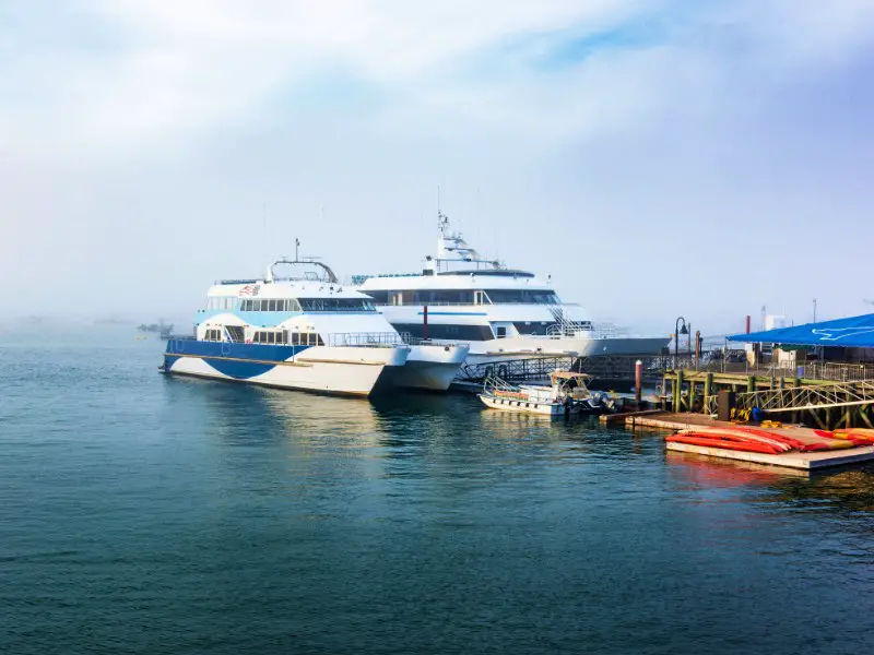 catamaran ferries in bar harbor on misty day