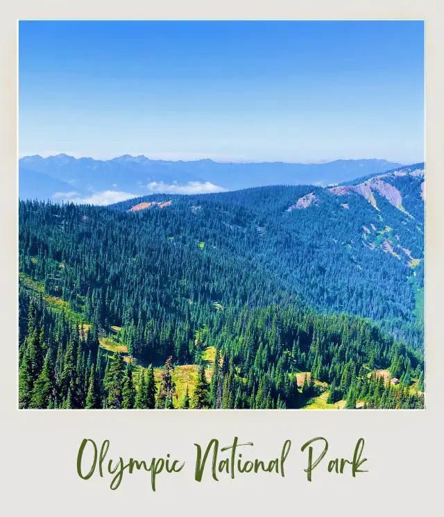 Aerial Hurricane Ridge Olympic National Park