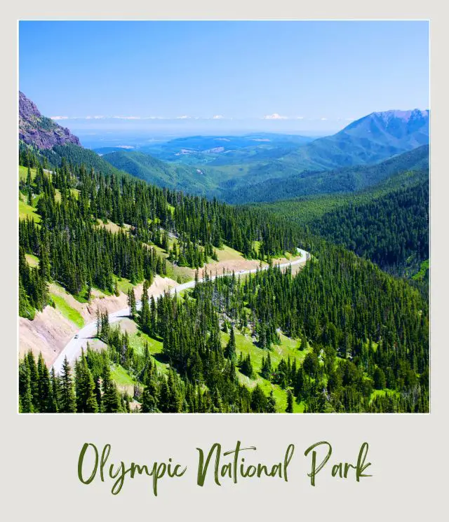 Aerial Hurricane Ridge Road Olympic National Park