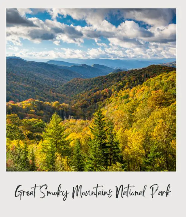 Mountains of colorful trees in Great Smoky Mountains National Park.