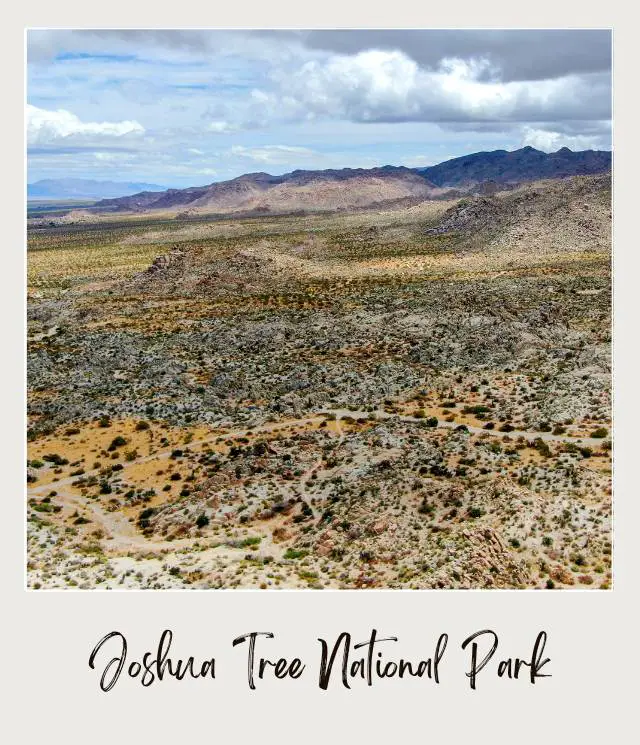 Aerial view of mountains and below are Joshua trees and bushes in Joshua Tree National Park.