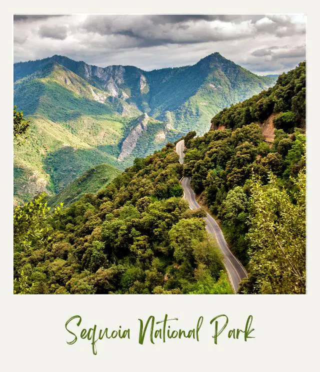 Aerial View of Road in Sequoia National Park