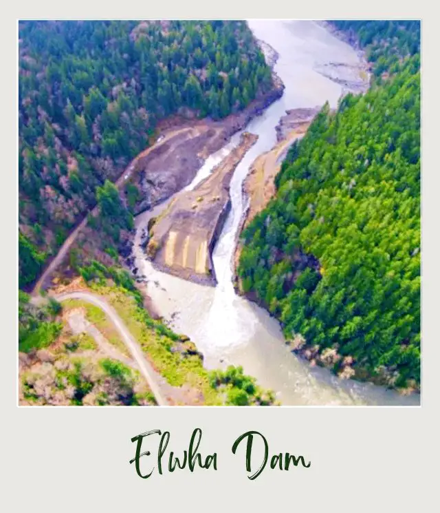 10 Fun Facts About Olympic National Park Aerial view of a dam surrounded by trees in Elwha dam in Olympic National Park.