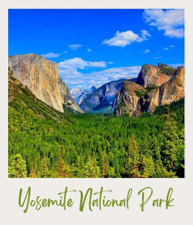 How to Get to Yosemite National Park Mountain range in Yosemite National Park surrounded with tall green trees.