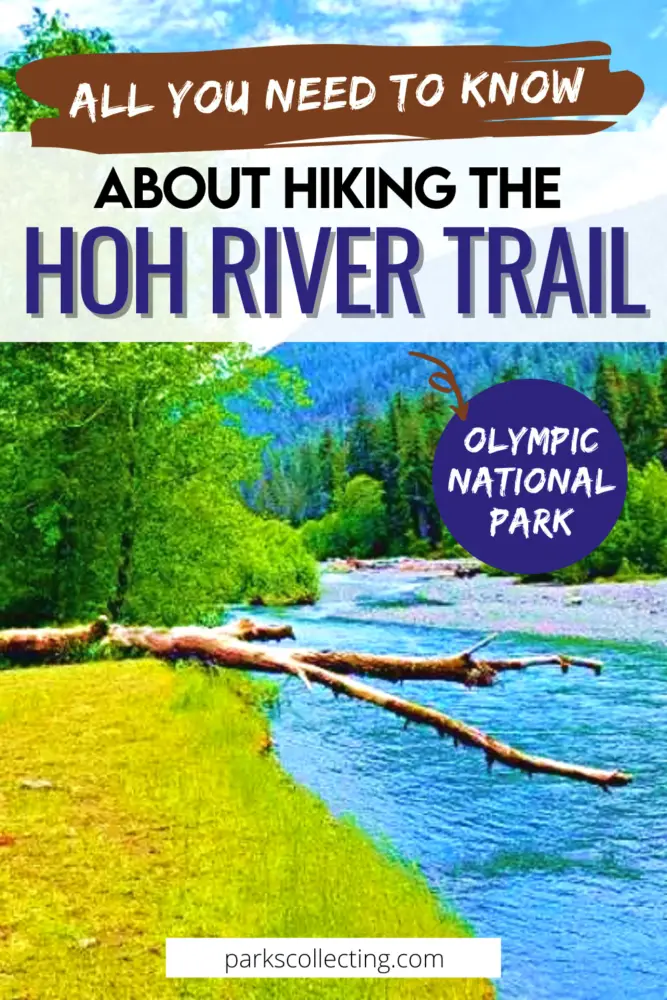 All You Need to Know About Hiking the Hoh River Trail Pin