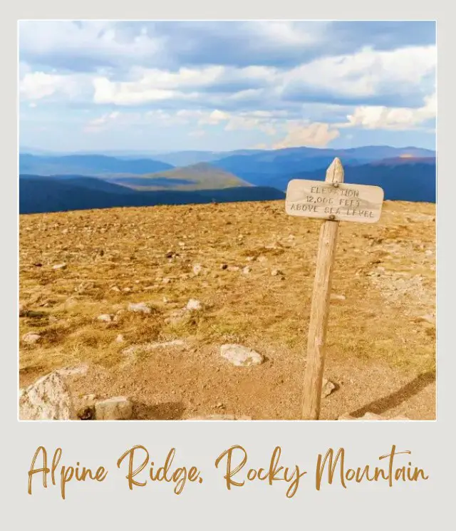 Best Hikes in Rocky Mountain National Park Alpine Ridge in Rocky Mountain National Park