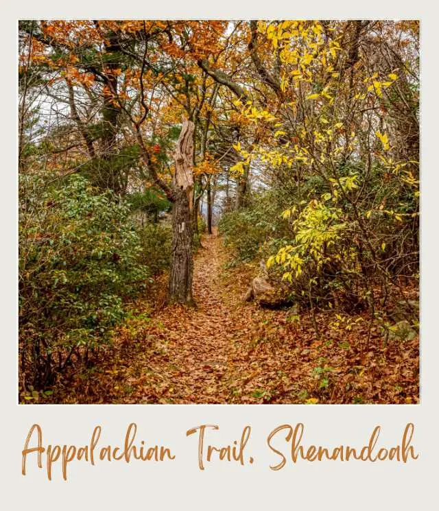 Appalachian Trail in Shenandoah National Park