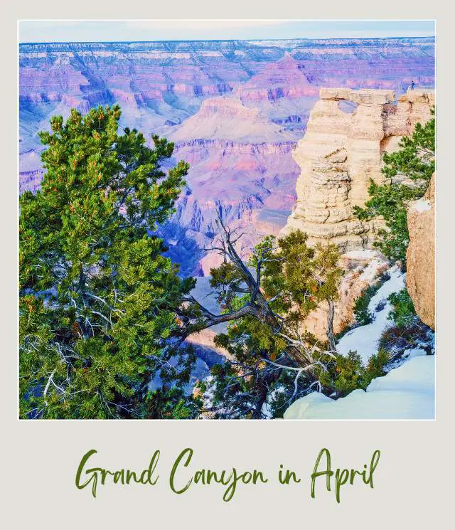 Rock mountains and trees covered with snow in Grand Canyon National Park.