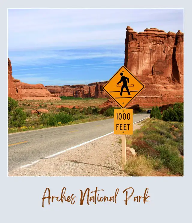 Straight road surrounded by .huge rock formations, and besides is a yellow signboard with the text says, 1000 feet in Arches National Park.