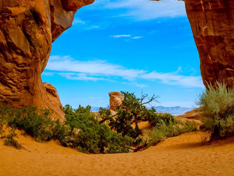 Bushes surrounded by huge rock formations under the blue sky in Arches National Park