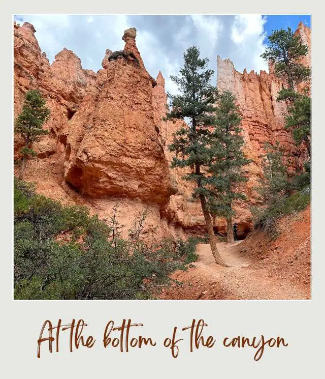 At the bottom of the canyon Bryce Canyon National Park
