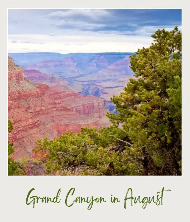 Red rock mountains surrounded by tree bushes in Grand Canyon National Park