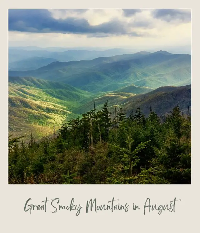 View of mountains covered with green trees in Great Smoky Mountains National Park.