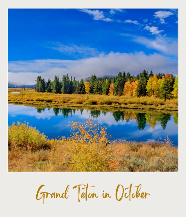 Calm river reflecting colorful fall trees in Grand Teton National Park in October beneath a bright blue sky