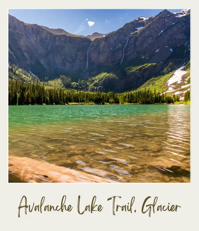 View of lake and mountain surrounded with trees in the background in Avalanche Lake Trail, Glacier National Park.