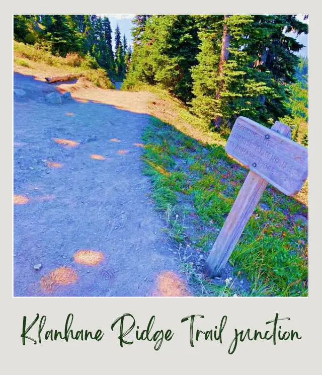 High Ridge Trail to Sunrise Point, Hurricane Ridge: Complete Guide Wooden Signage beside the small road surrounded by trees in Klanhane Ridge Trail junction Hurricane Ridge Olympic National Park