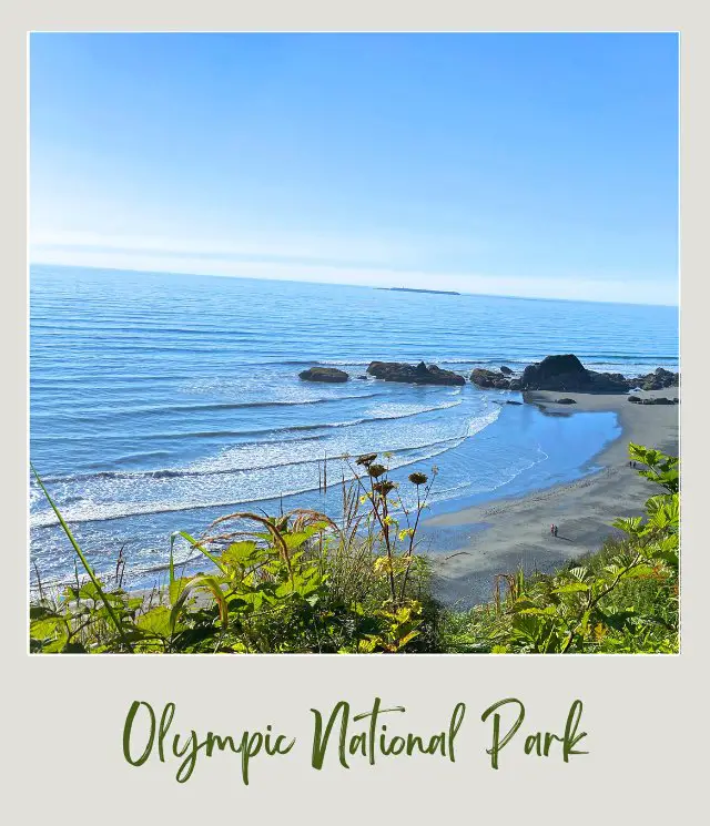 Beach 4 Olympic National Park 1