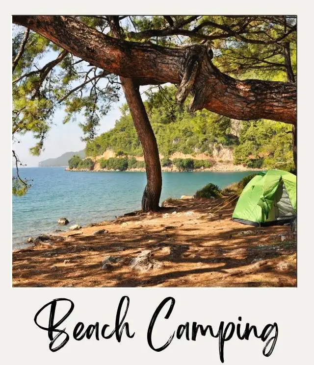 20 Beach Camping Tips for First Timers tent on beach and tree branch