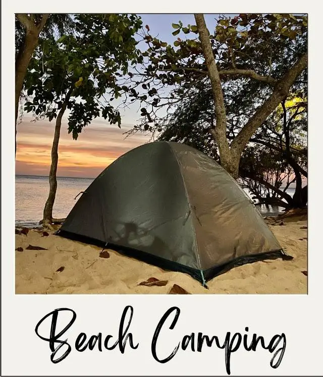 20 Beach Camping Tips for First Timers tent on beach