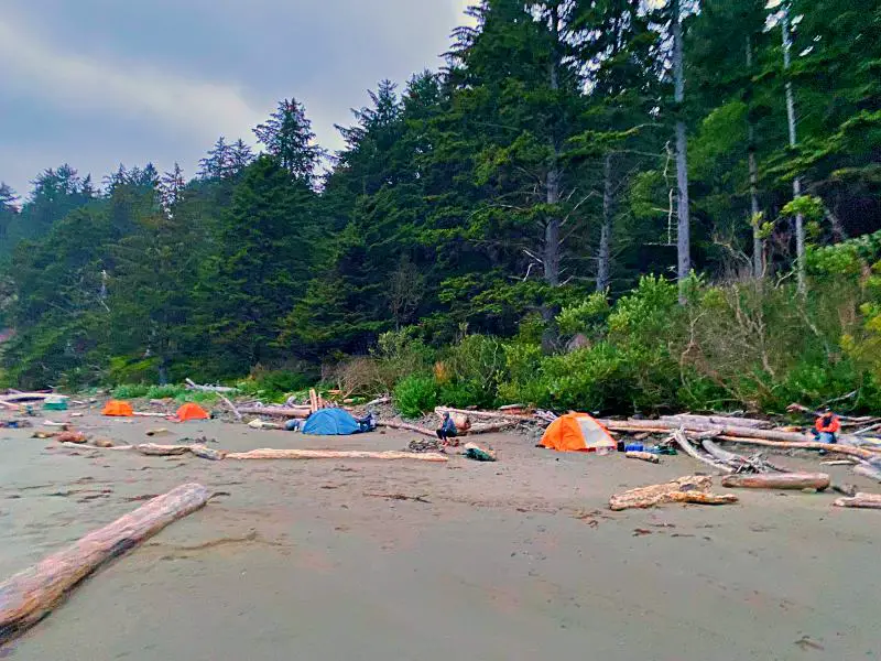 Beach camping makes the tour memorable in Olympic National Park as tall trees surrounding the area makes the stay relaxing.
